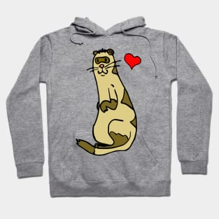 FERRET LOVE - LOVE COLORS Hoodie